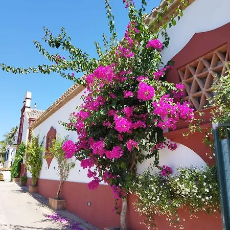 Holiday home El Altabacar - - Playa Fuengirola